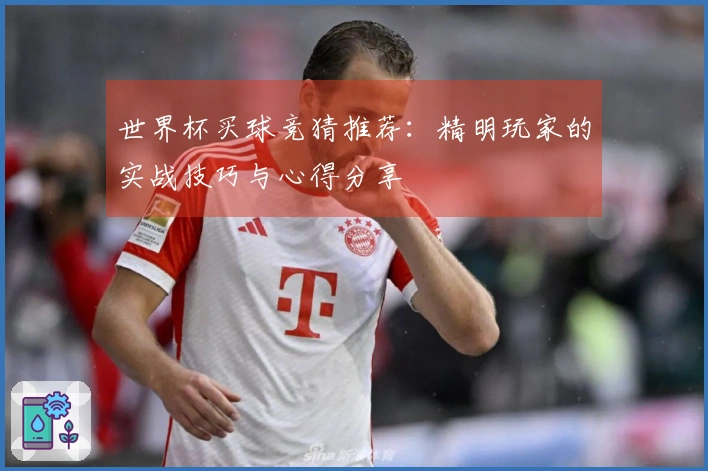 世界杯买球竞猜推荐：精明玩家的实战技巧与心得分享