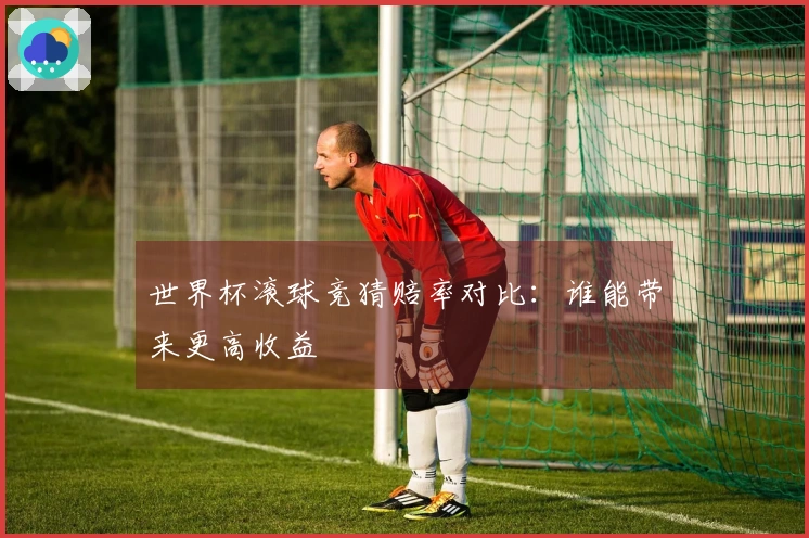 世界杯滚球竞猜赔率对比：谁能带来更高收益