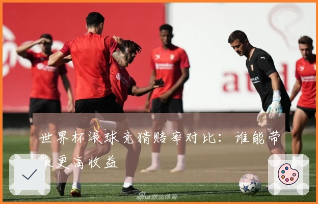 世界杯滚球竞猜赔率对比：谁能带来更高收益
