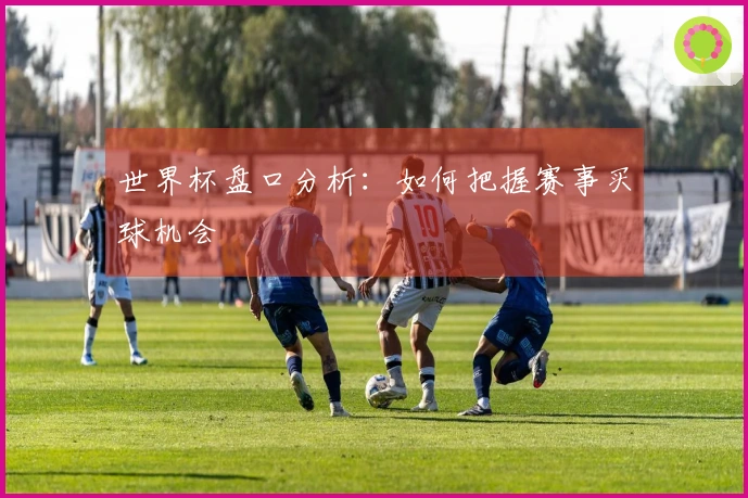 世界杯盘口分析：如何把握赛事买球机会