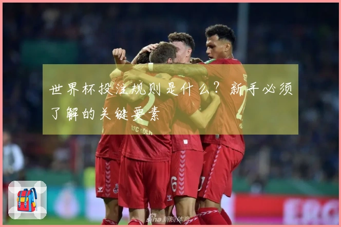 世界杯投注规则是什么？新手必须了解的关键要素
