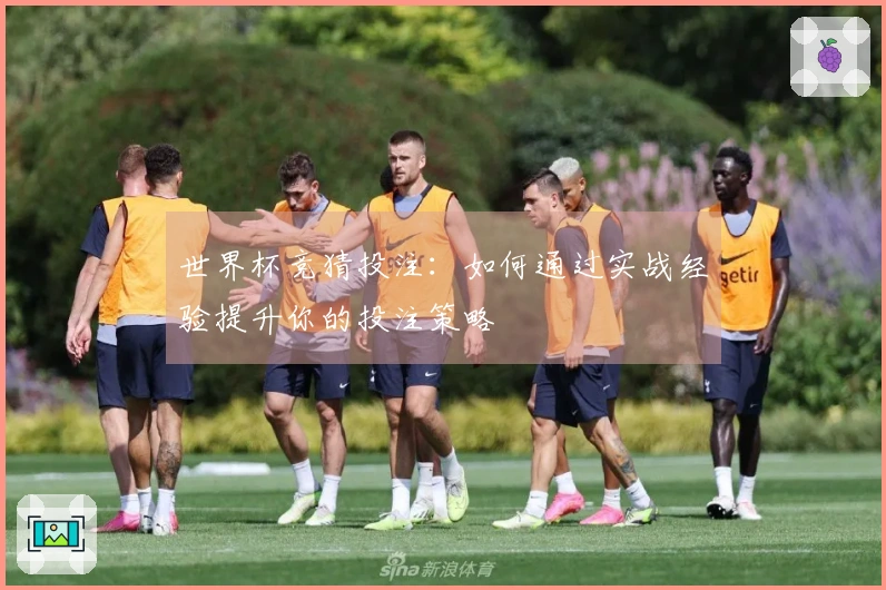 世界杯竞猜投注：如何通过实战经验提升你的投注策略