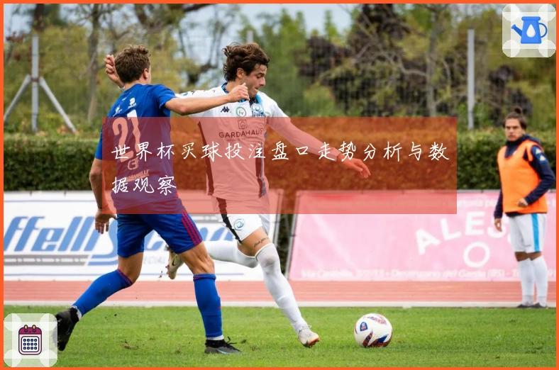 世界杯买球投注盘口走势分析与数据观察