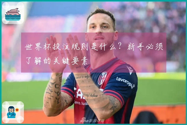 世界杯投注规则是什么？新手必须了解的关键要素