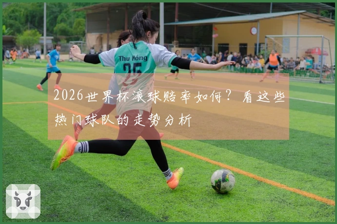 2026世界杯滚球赔率如何？看这些热门球队的走势分析